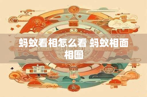 蚂蚁看相怎么看 蚂蚁相面相图