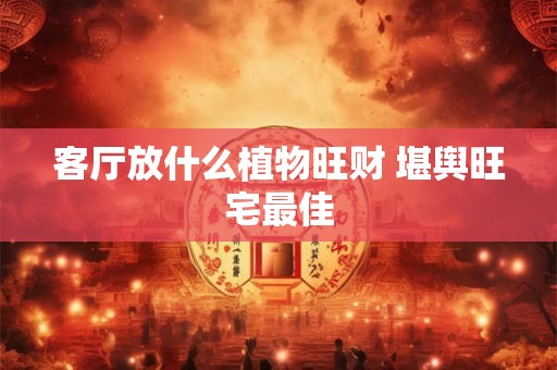客厅放什么植物旺财 堪舆旺宅最佳