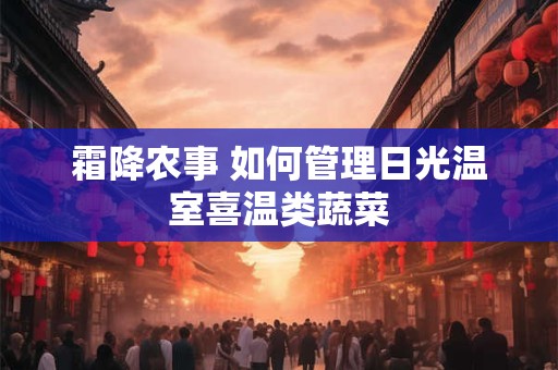 霜降农事 如何管理日光温室喜温类蔬菜