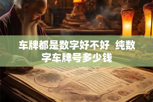 车牌都是数字好不好  纯数字车牌号多少钱
