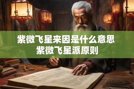 紫微飞星来因是什么意思 紫微飞星派原则
