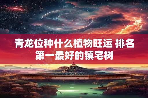 青龙位种什么植物旺运 排名第一最好的镇宅树