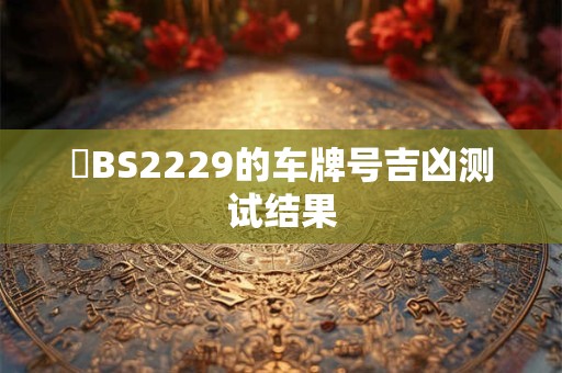 魯BS2229的车牌号吉凶测试结果