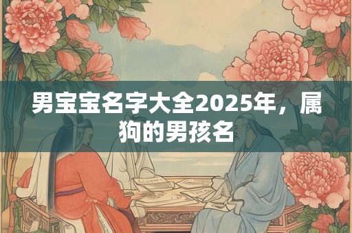 男宝宝名字大全2025年，属狗的男孩名