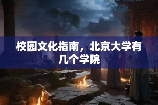 校园文化指南，北京大学有几个学院