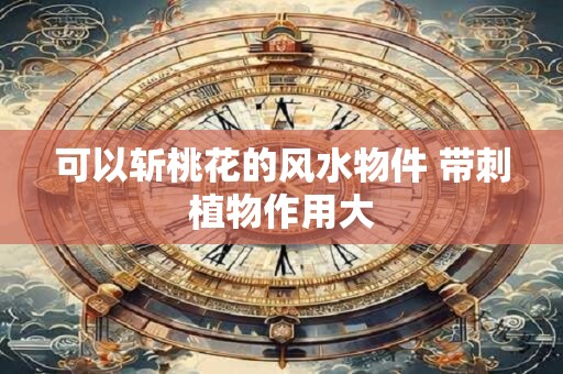 详细阅读:可以斩桃花的风水物件 带刺植物作用大 可以斩桃花的风水物件 带刺植物作用大