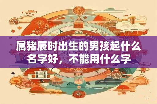 属猪辰时出生的男孩起什么名字好，不能用什么字
