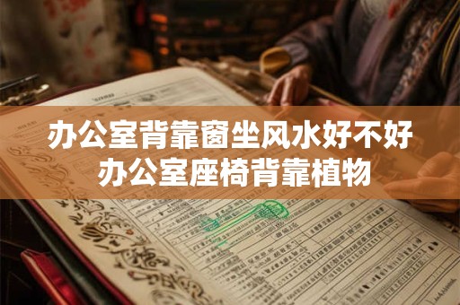 办公室背靠窗坐风水好不好 办公室座椅背靠植物