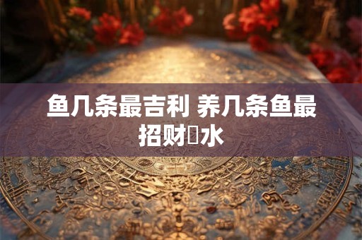 鱼几条最吉利 养几条鱼最招财風水