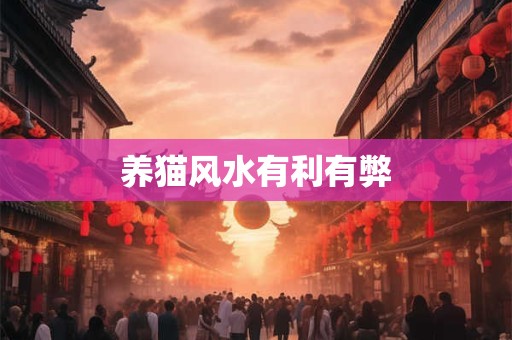 养猫风水有利有弊