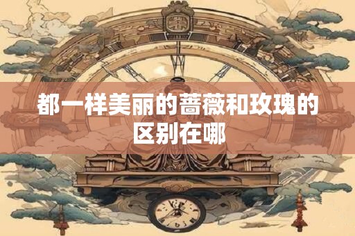 都一样美丽的蔷薇和玫瑰的区别在哪
