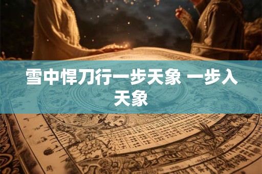 雪中悍刀行一步天象 一步入天象