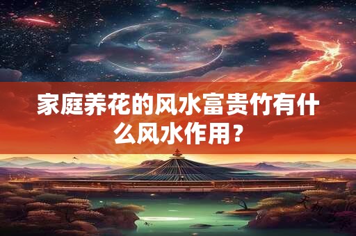 家庭养花的风水富贵竹有什么风水作用？