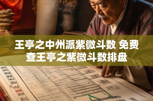 王亭之中州派紫微斗数 免费查王亭之紫微斗数排盘