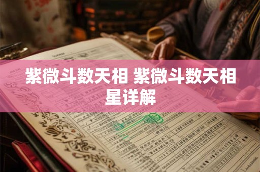 紫微斗数天相 紫微斗数天相星详解
