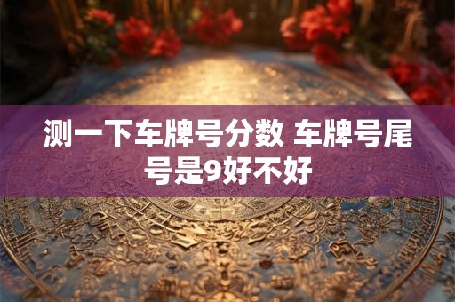 测一下车牌号分数 车牌号尾号是9好不好