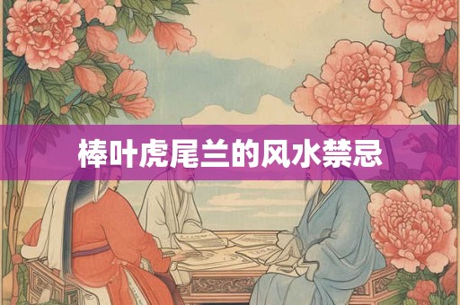 棒叶虎尾兰的风水禁忌