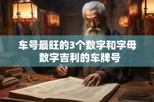 车号最旺的3个数字和字母  数字吉利的车牌号