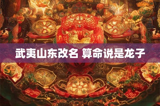 武夷山东改名 算命说是龙子