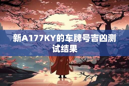新A177KY的车牌号吉凶测试结果