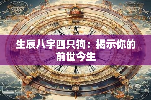生辰八字四只狗：揭示你的前世今生