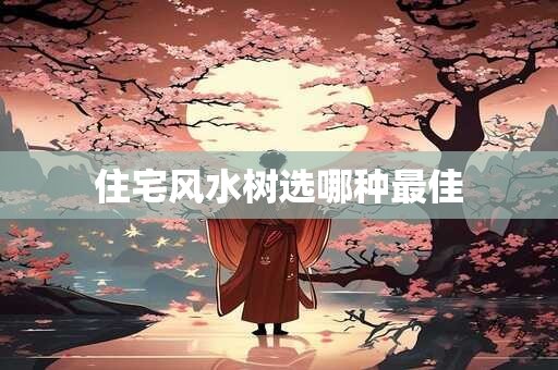 住宅风水树选哪种最佳