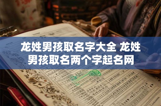 龙姓男孩取名字大全 龙姓男孩取名两个字起名网