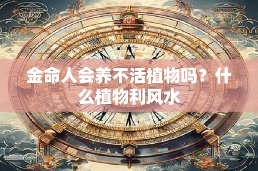 金命人会养不活植物吗？什么植物利风水