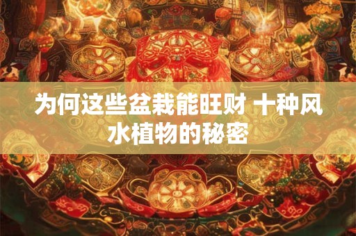 为何这些盆栽能旺财 十种风水植物的秘密