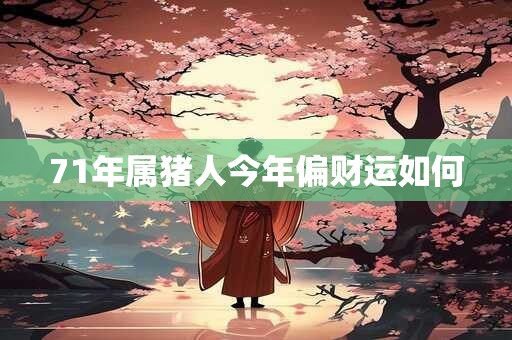 71年属猪人今年偏财运如何