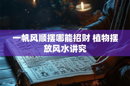 一帆风顺摆哪能招财 植物摆放风水讲究
