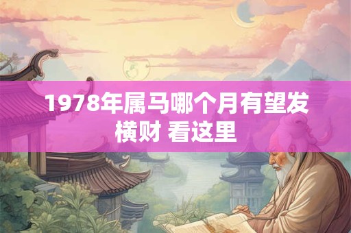 1978年属马哪个月有望发横财 看这里