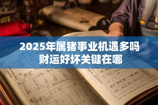 2025年属猪事业机遇多吗 财运好坏关键在哪
