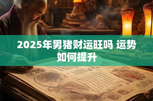 2025年男猪财运旺吗 运势如何提升