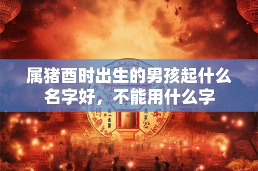 属猪酉时出生的男孩起什么名字好，不能用什么字