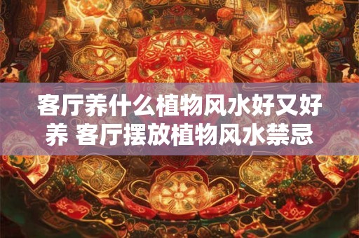 2025年属马求财必看，财神方位在哪里