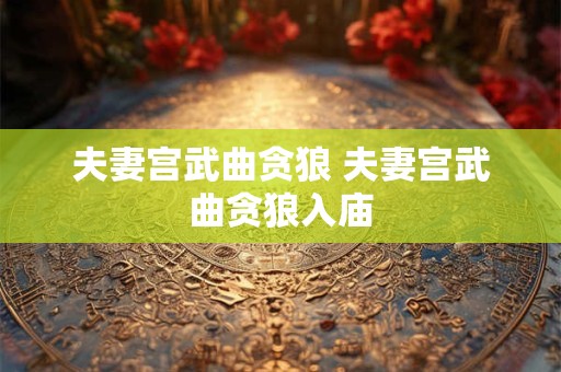 夫妻宫武曲贪狼 夫妻宫武曲贪狼入庙