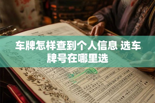 车牌怎样查到个人信息 选车牌号在哪里选