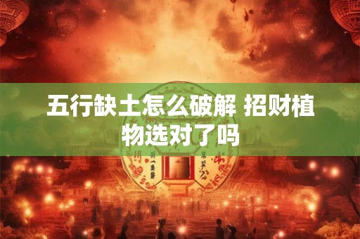 五行缺土怎么破解 招财植物选对了吗