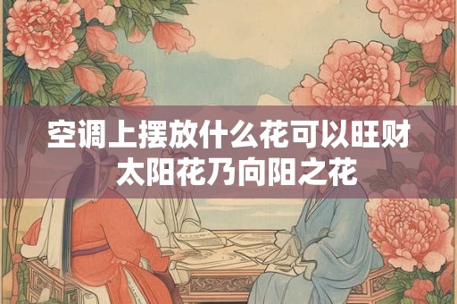 空调上摆放什么花可以旺财  太阳花乃向阳之花