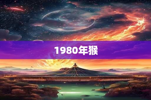 1980年猴