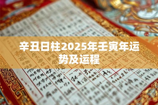 辛丑日柱2025年壬寅年运势及运程