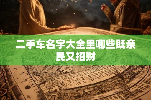 二手车名字大全里哪些既亲民又招财