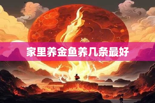 家里养金鱼养几条最好