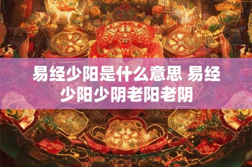易经少阳是什么意思 易经少阳少阴老阳老阴