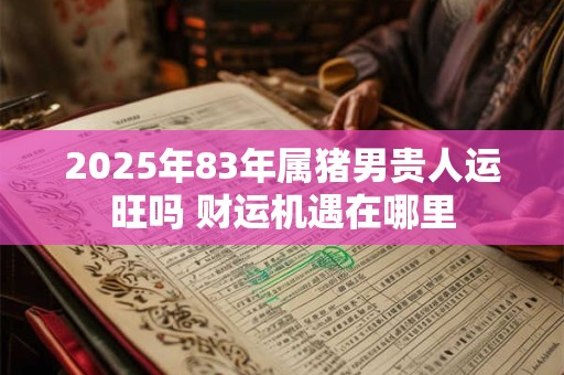 2025年83年属猪男贵人运旺吗 财运机遇在哪里