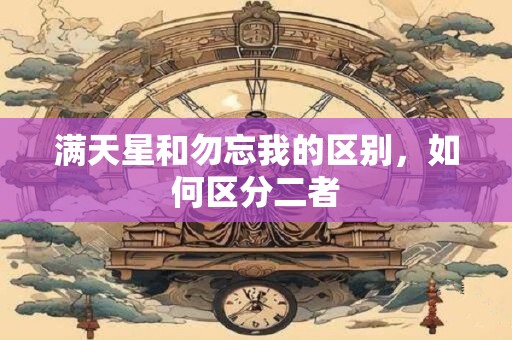 满天星和勿忘我的区别，如何区分二者