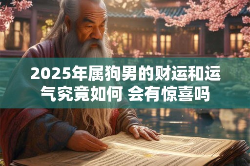 2025年属狗男的财运和运气究竟如何 会有惊喜吗