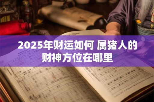 2025年财运如何 属猪人的财神方位在哪里