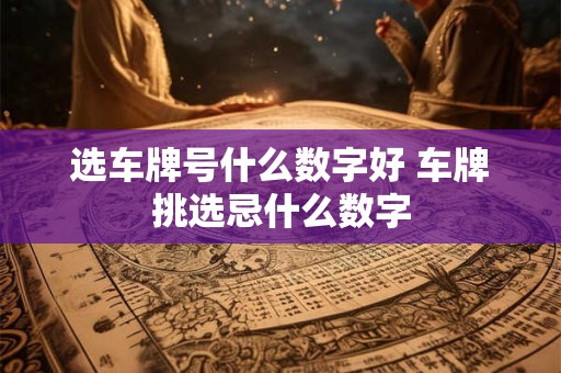 选车牌号什么数字好 车牌挑选忌什么数字